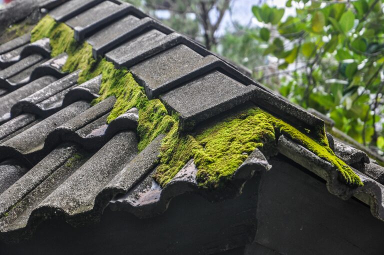 Roof cleaning Contractor Bristol